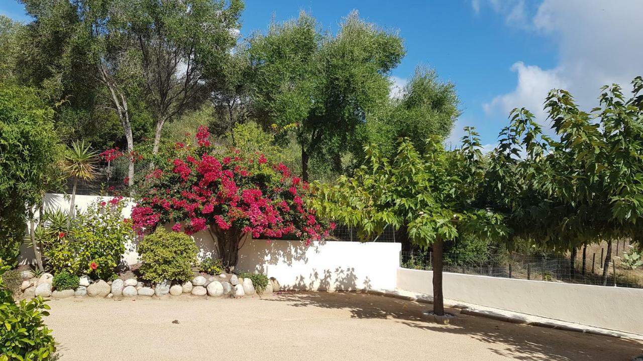 Residence U MELU GRAND T3 JAUNE à l'étage Tiuccia Extérieur photo