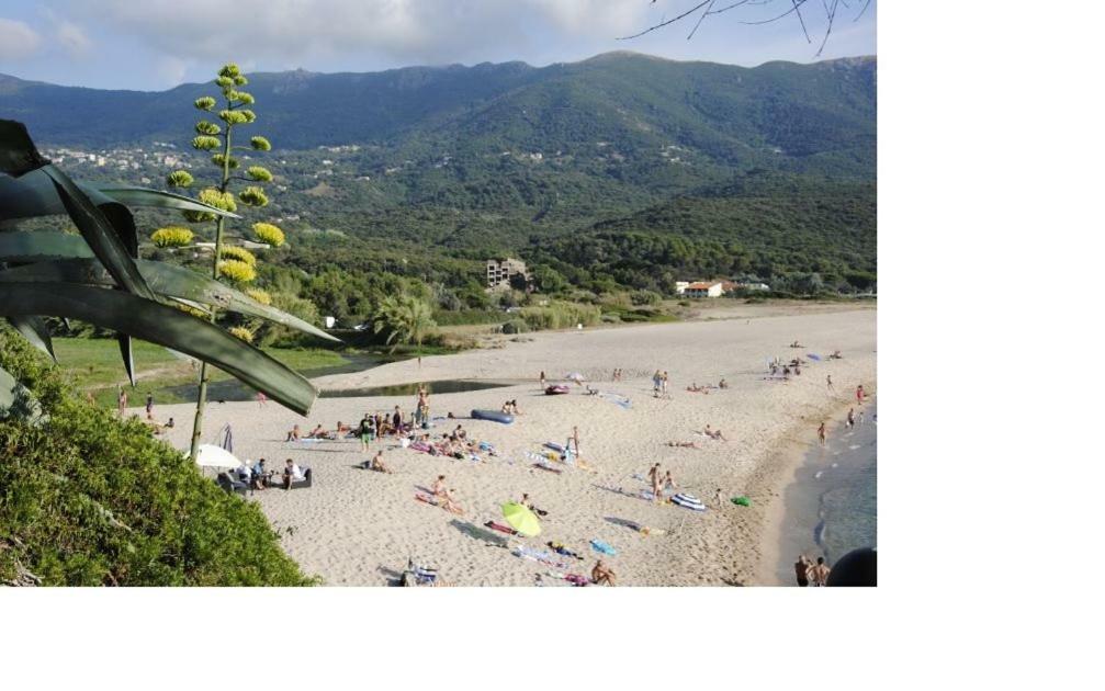 Residence U MELU GRAND T3 JAUNE à l'étage Tiuccia Extérieur photo